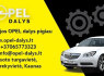 www. opel - dalys. lt (1)