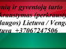 Įmonių ir gyventojų turto perkraustymas perkraustymo paslaugos Lietuva Vengrija