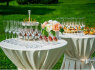 Šampano staliukas šampano sienelė ir aptarnavimas po ceremonijos stilingai (6)